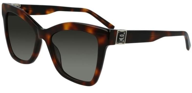 MCM Butterfly Tortoise